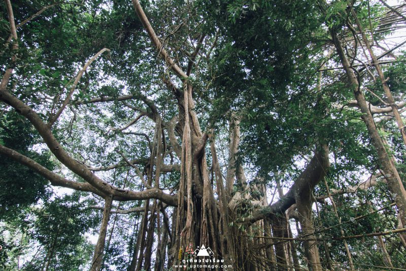 เขาหลวงสุโขทัย กูเที่ยวไปเรื่อย