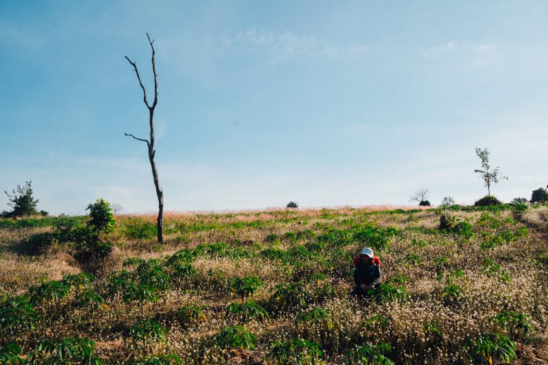 ครบุรี กูเที่ยวไปเรื่อย