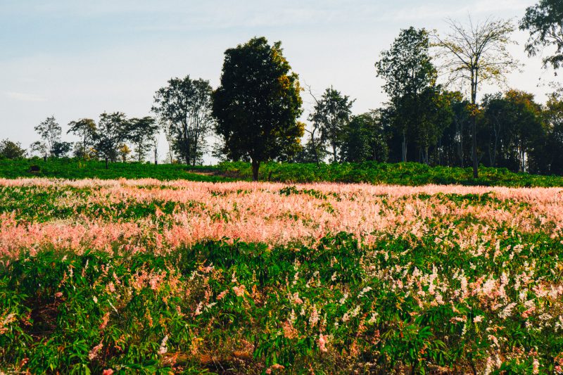 ครบุรี กูเที่ยวไปเรื่อย