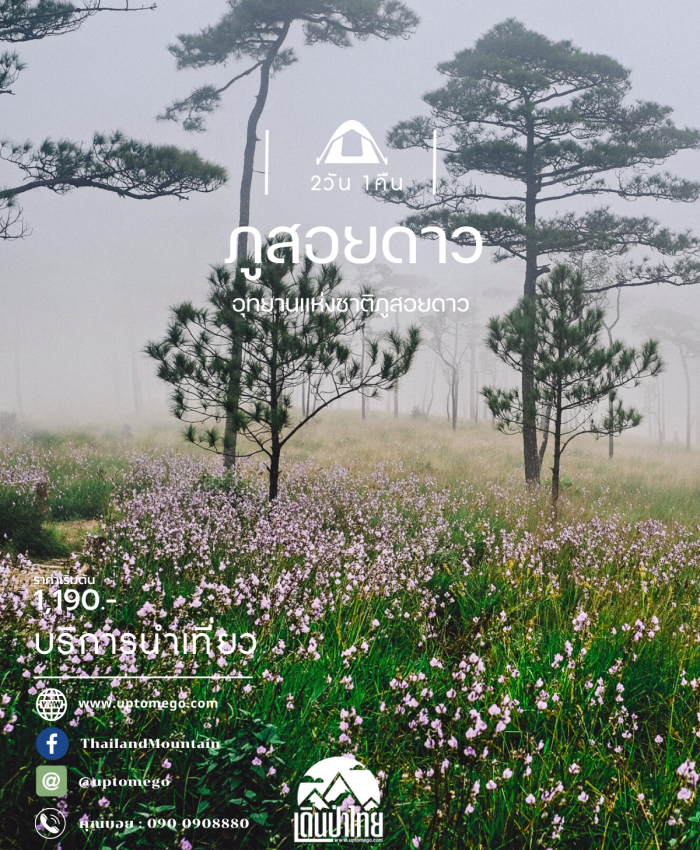 ภูสอยดาว 2วัน 1คืน