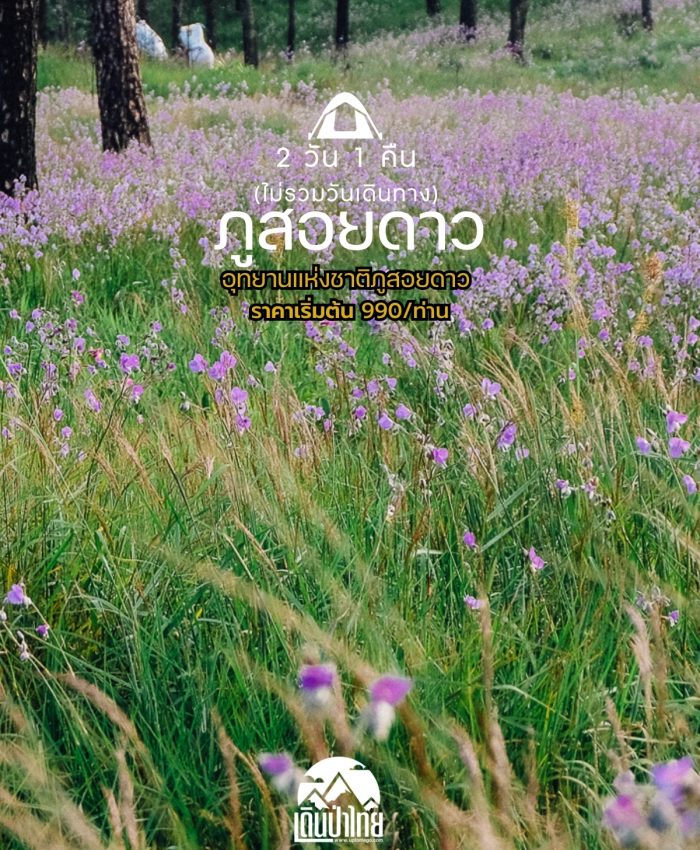 ภูสอยดาว 2 วัน 1 คืน