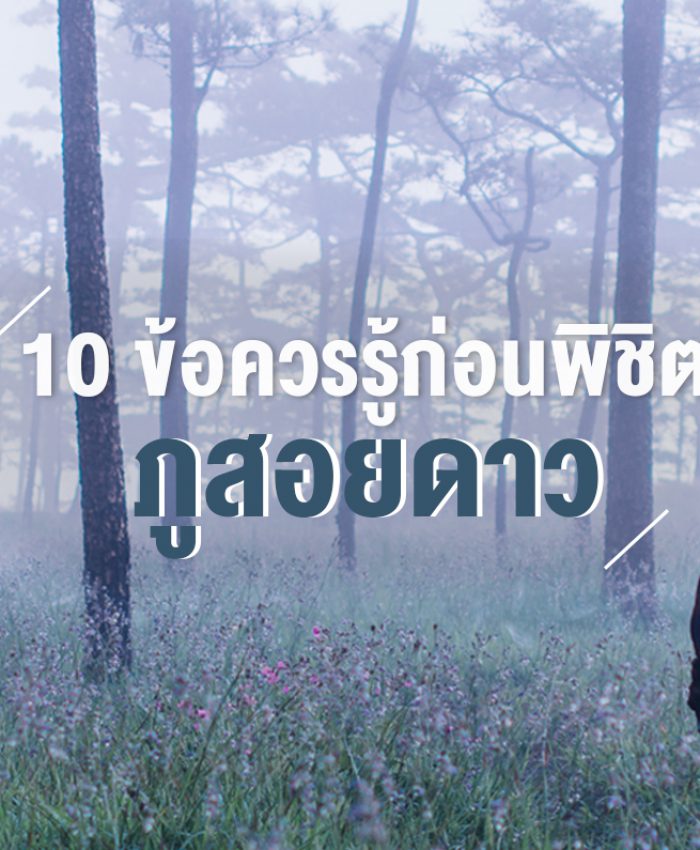 10 ข้อควรรู้ก่อนพิชิต ภูสอยดาว ชมหมอก ดอกหงอนนาค